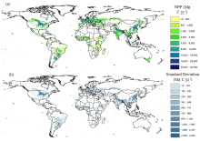 Net primary production (NPP) (a) and associated standard deviation (b) for global croplands in year 2009 at 0.05 degree resolution Net primary production (NPP) (a) and associated standard deviation (b) for global croplands in year 2009 at 0.05 degree resolution