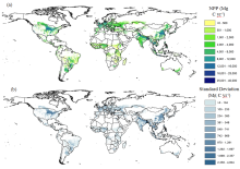 Net primary production (NPP) (a) and associated standard deviation (b) for global croplands in year 2009 at 0.05 degree resolution