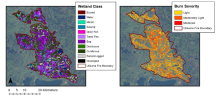 Utikuma site map - peatland type for non-burned areas and modeled BSI