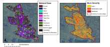 Utikuma site map - peatland type for non-burned areas and modeled BSI Utikuma site map - peatland type for non-burned areas and modeled BSI