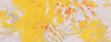 tree mortality map beetle-killed trees in the western United States