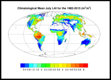 Global map of mean leaf area index Leaf area Index for July